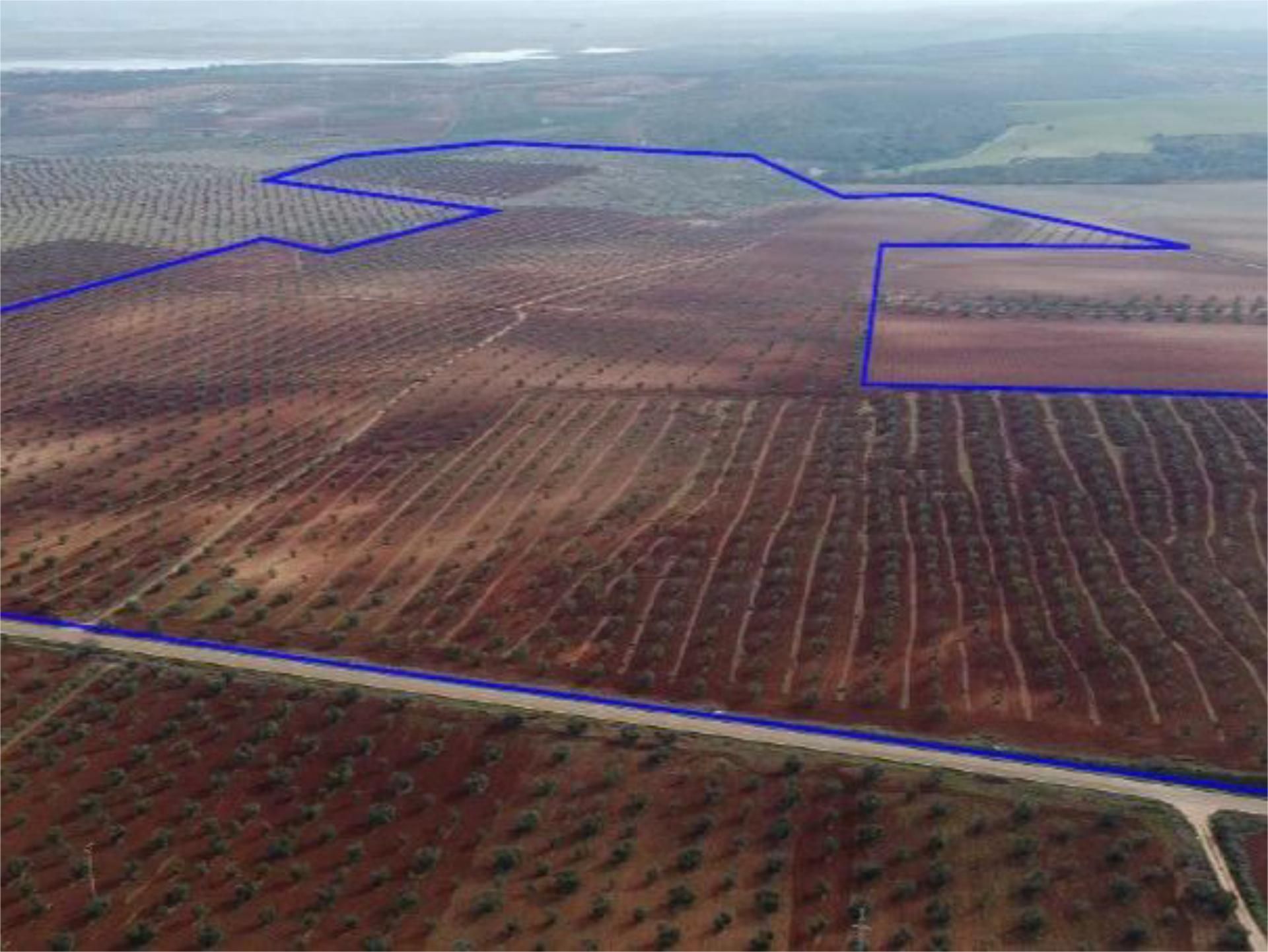Land for sale in Almendralejo