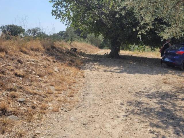 Terreno en Venta en Carrer la Jonquera, 1 en Cantallops