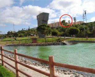 Vista exterior de Pis per a compartir en Las Palmas de Gran Canaria amb Calefacció, Jardí privat i Moblat