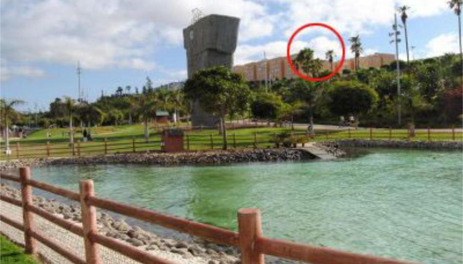 Pis per a compartir a Calle Lomo la Plana, 12, Siete Palmas, Las Palmas - imatge 1 Foto 1 de Pis per a compartir a Calle Lomo la Plana, 12, Siete Palmas, Las Palmas