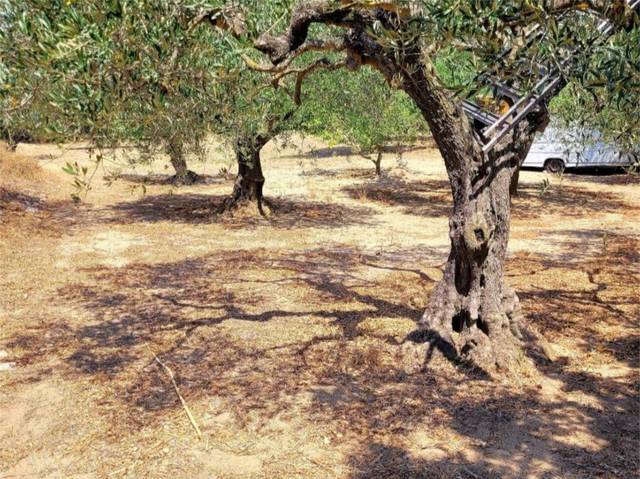 Terreno en Venta en Carrer la Jonquera, 19 en Cantallops