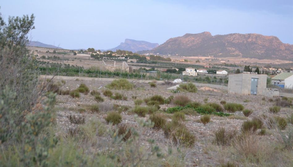 Finca rústica en venda a Cv-830, 173, Salinas, Alicante - imatge 1 Foto 1 de Finca rústica en venda a Cv-830, 173, Salinas, Alicante