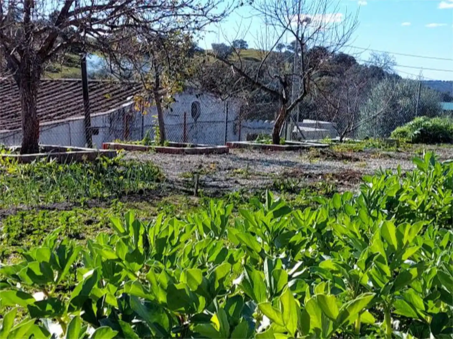 Pis en venda a Aldea Cañuelo, 11, El Castillo de las Guardas Pis en venda en El Castillo de las Guardas amb Aire condicionat, Calefacció i Jardí privat