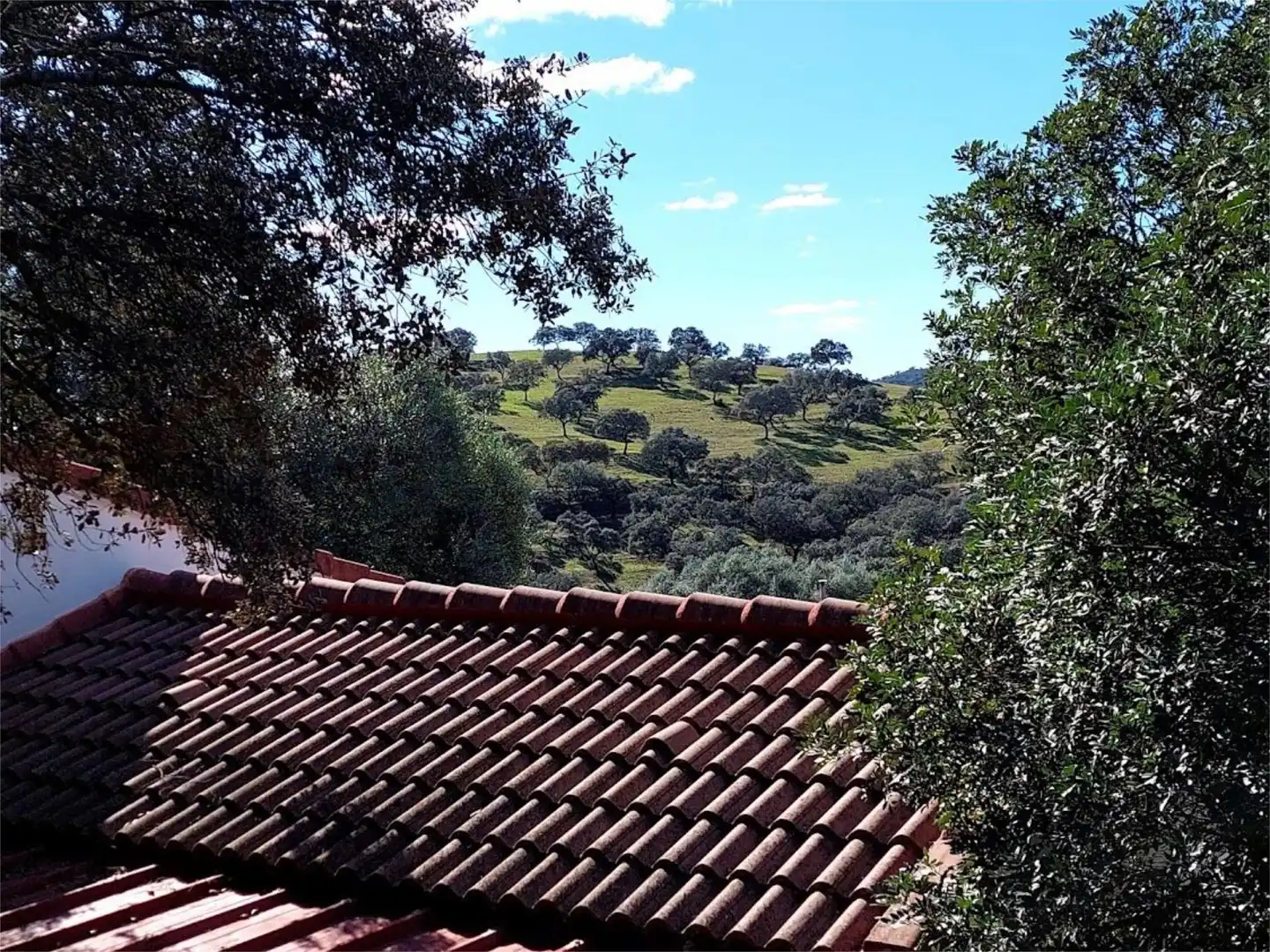 Pis en venda a Aldea Cañuelo, 11, El Castillo de las Guardas Vista exterior de Pis en venda en El Castillo de las Guardas amb Aire condicionat, Calefacció i Jardí privat