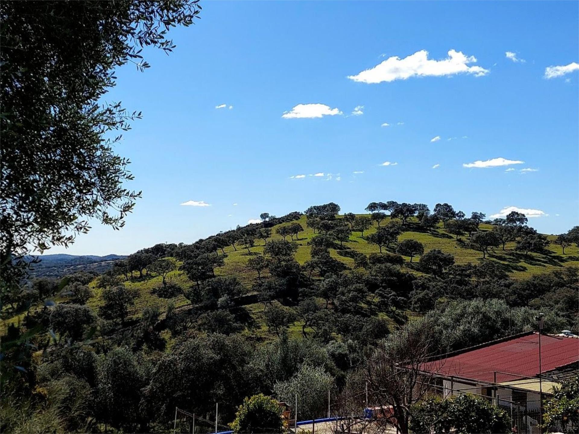 Vista exterior de Pis en venda en El Castillo de las Guardas amb Aire condicionat, Calefacció i Jardí privat