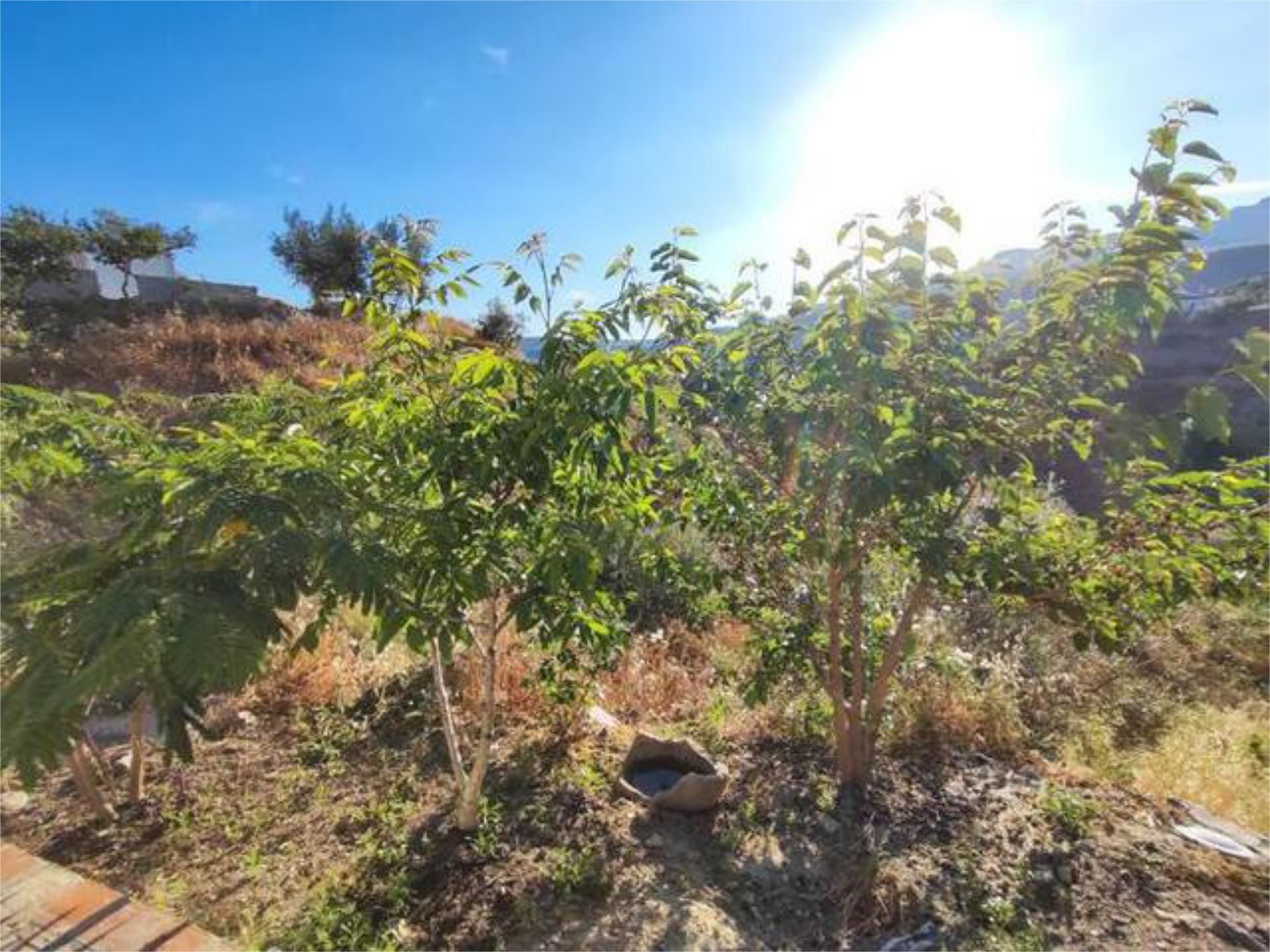 Casa o xalet en venda en Riogordo amb Terrassa