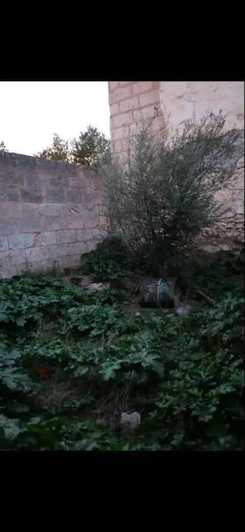 Grundstücke zum Verkauf in Carrer son Xapeta, 8, Campanet Grundstücke zum Verkauf in Campanet