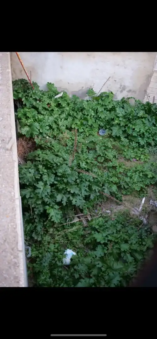 Grundstücke zum Verkauf in Carrer son Xapeta, 8, Campanet Grundstücke zum Verkauf in Campanet