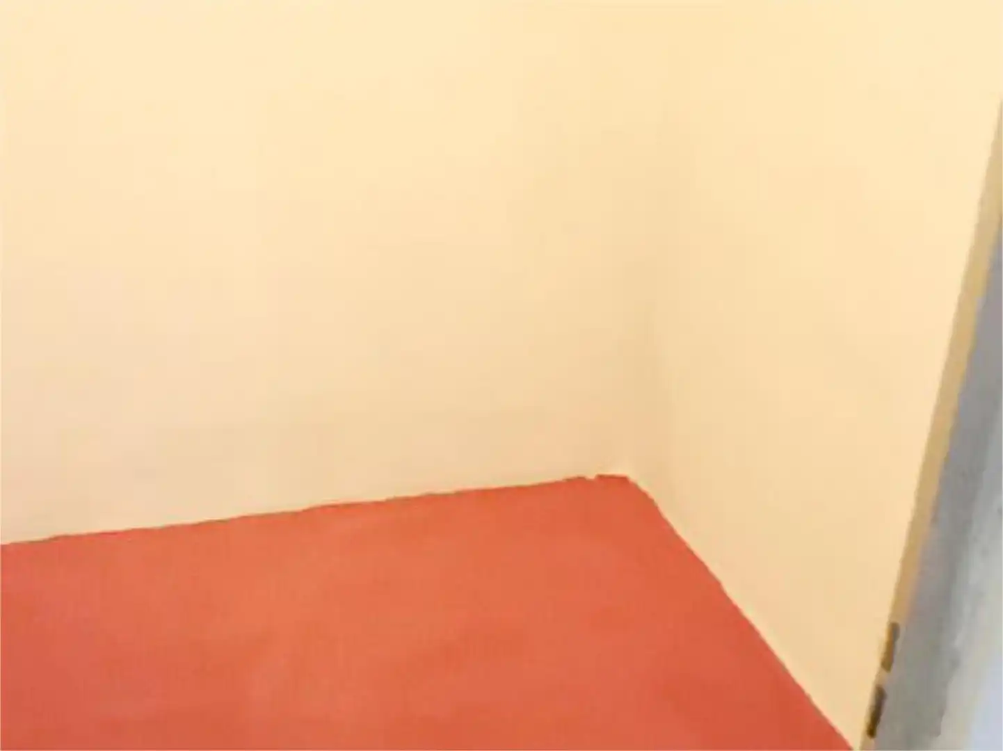 Storage room for rent in Avenida Alto de las Atalayas, 134, Cabezo de Torres Bedroom of Storage room for rent in Murcia