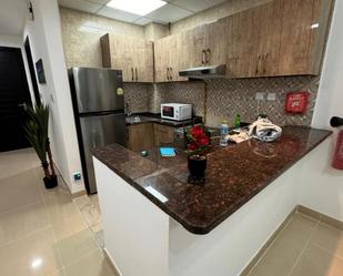 Cuina de Apartament de lloguer en Merindad de Sotoscueva amb Aire condicionat, Calefacció i Parquet