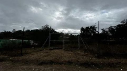 Foto 2 de Finca rústica en venta en Calle 1º de Mayo, 15, Castilblanco de los Arroyos, Sevilla