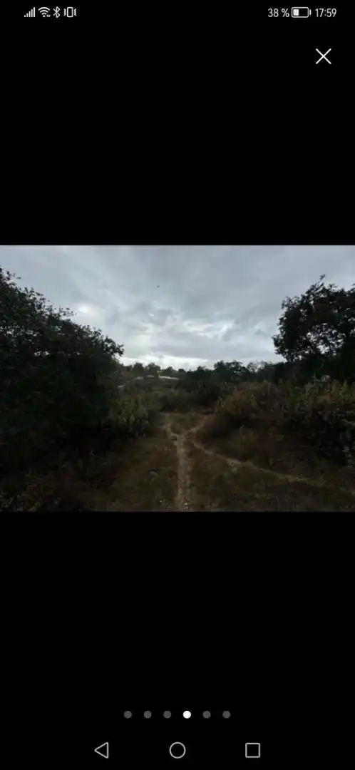 Finca rústica en venta en Castilblanco de los Arroyos