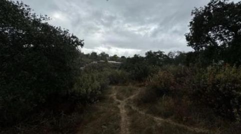 Foto 3 de Finca rústica en venta en Calle 1º de Mayo, 15, Castilblanco de los Arroyos, Sevilla