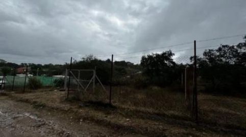 Foto 4 de Finca rústica en venta en Calle 1º de Mayo, 15, Castilblanco de los Arroyos, Sevilla