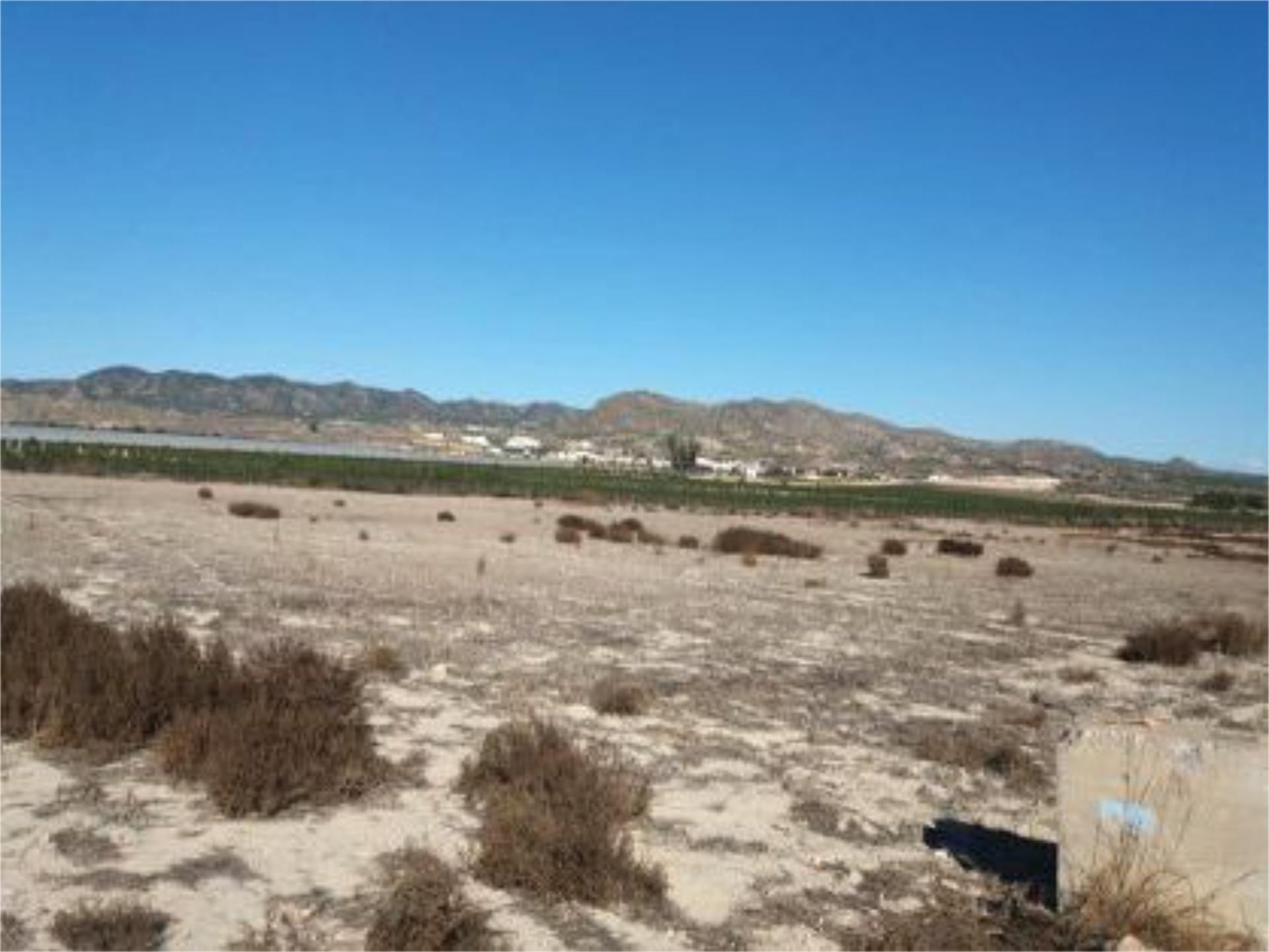 Non-constructible Land for sale in San Javier