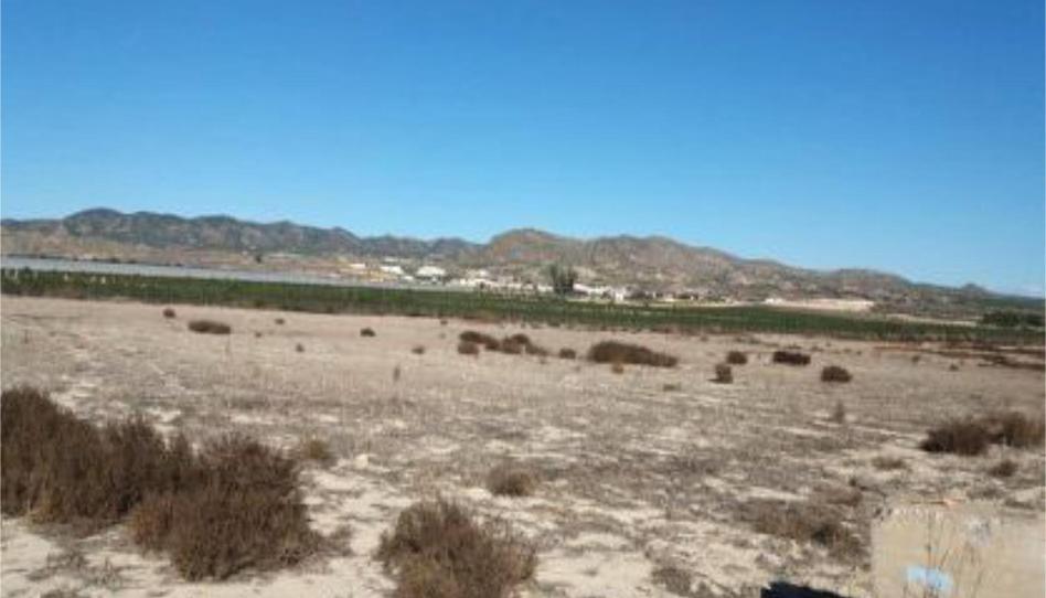 Non-constructible Land for sale in Autovía del Mar Menor, 25, El Mirador Pozo Aledo, Murcia - image 1 Photo 1 of Non-constructible Land for sale in Autovía del Mar Menor, 25, El Mirador Pozo Aledo, Murcia