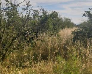 Land for sale in Reus