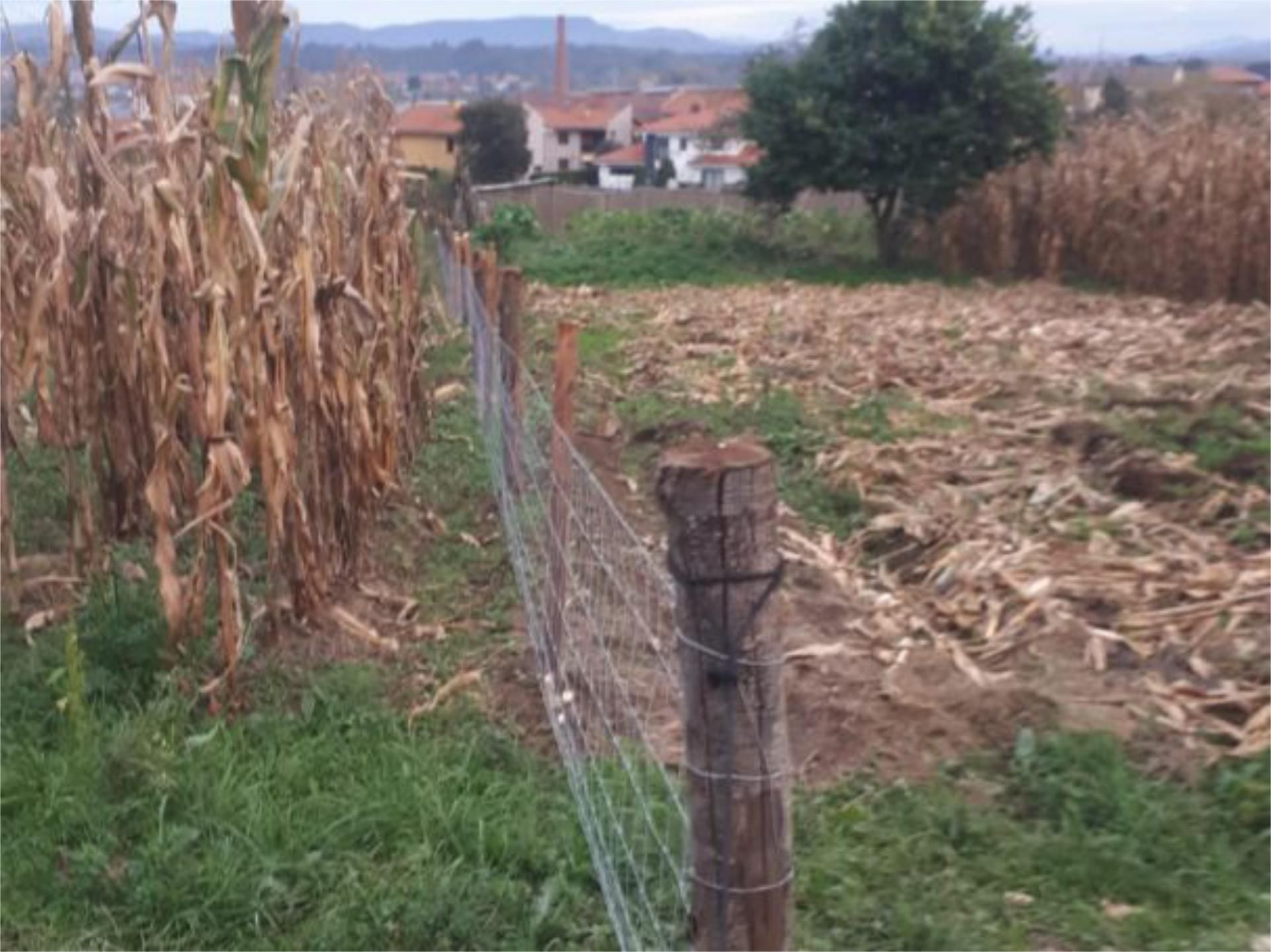 No Urbanitzable de lloguer en Siero