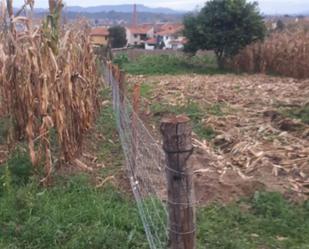 Non-constructible Land to rent in Siero
