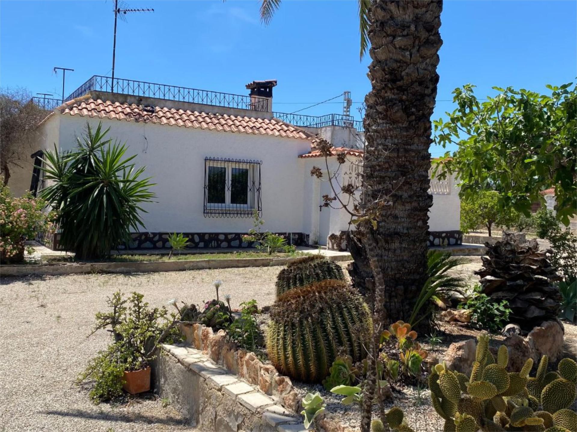 Vista exterior de Casa o xalet en venda en Elche / Elx amb Aire condicionat, Terrassa i Piscina