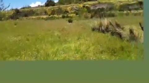 Country house for sale in Calle Miguel Hernandez, 1, Nevada, Granada - image 3 Photo 3 of Country house for sale in Calle Miguel Hernandez, 1, Nevada, Granada