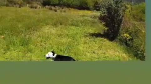 Country house for sale in Calle Miguel Hernandez, 1, Nevada, Granada - image 4 Photo 4 of Country house for sale in Calle Miguel Hernandez, 1, Nevada, Granada