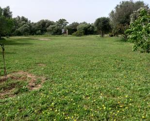 Finca rústica en venda en Medina-Sidonia amb Moblat