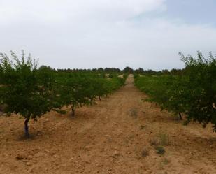 Grundstücke zum verkauf in Venta del Moro