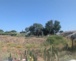 Non-constructible Land for sale in Chiclana de la Frontera
