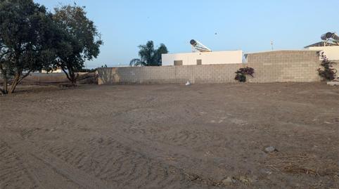 Non-constructible Land for sale in Camino de Ceuta, 33, Las Lagunas - Campano, Cádiz - image 3 Photo 3 of Non-constructible Land for sale in Camino de Ceuta, 33, Las Lagunas - Campano, Cádiz