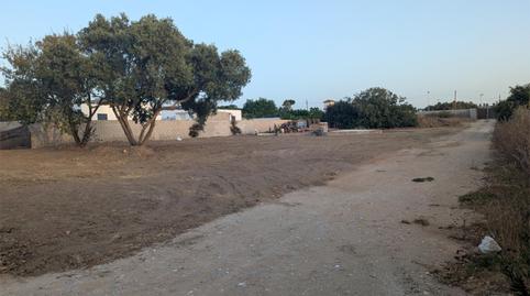 Non-constructible Land for sale in Camino de Ceuta, 33, Las Lagunas - Campano, Cádiz - image 2 Photo 2 of Non-constructible Land for sale in Camino de Ceuta, 33, Las Lagunas - Campano, Cádiz