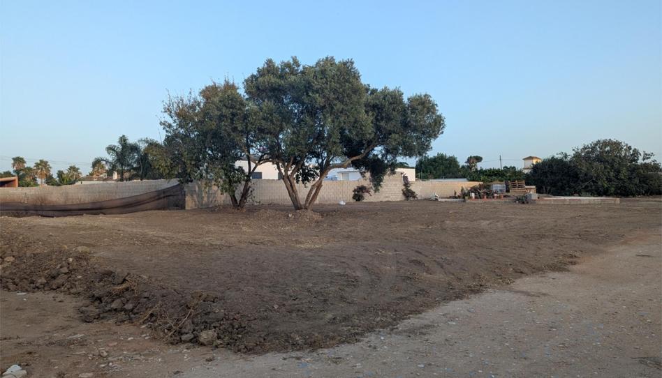 Non-constructible Land for sale in Camino de Ceuta, 33, Las Lagunas - Campano, Cádiz - image 1 Photo 1 of Non-constructible Land for sale in Camino de Ceuta, 33, Las Lagunas - Campano, Cádiz