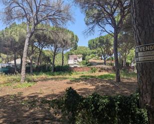 Land for sale in Chiclana de la Frontera