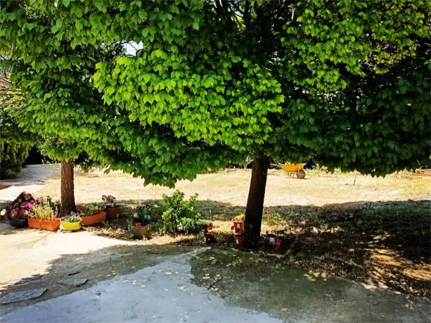 Houses for sale in Plaza del Pilar, Hinojosas de Calatrava Garden of Houses for sale in Hinojosas de Calatrava with Air Conditioner, Private garden and Terrace
