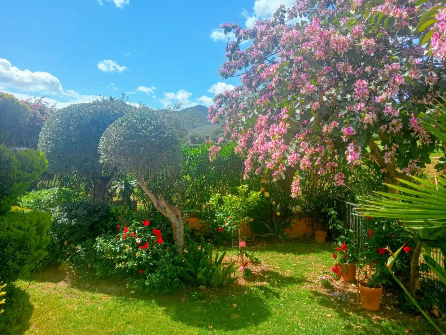 Wohnung zum Verkauf in Avenida General Caffarena, 32, Buenavista - Lauro Golf Garten von Wohnung zum Verkauf in Alhaurín de la Torre mit Klimaanlage, Heizung und Privatgarten