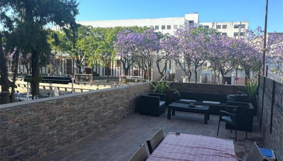 Flat to share in Avenida de Ramón y Cajal, 4, El Plantinar – Avda. La Paz - El Juncal, Sevilla - image 1 Photo 1 of Flat to share in Avenida de Ramón y Cajal, 4, El Plantinar – Avda. La Paz - El Juncal, Sevilla