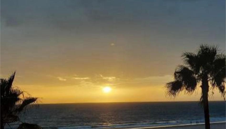 Photo 1 of Flat to share in Paseo Marítimo, 30, Paseo Marítimo - San José - La Laguna, Cádiz