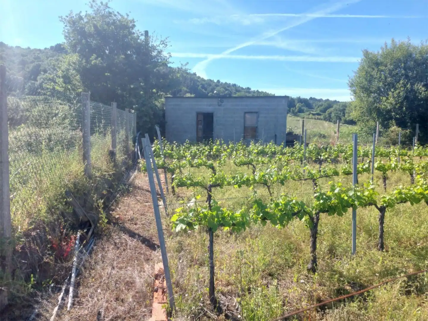 Grundstücke zum Verkauf in Rúa Ourense, 166, Pantón Grundstücke zum Verkauf in Pantón
