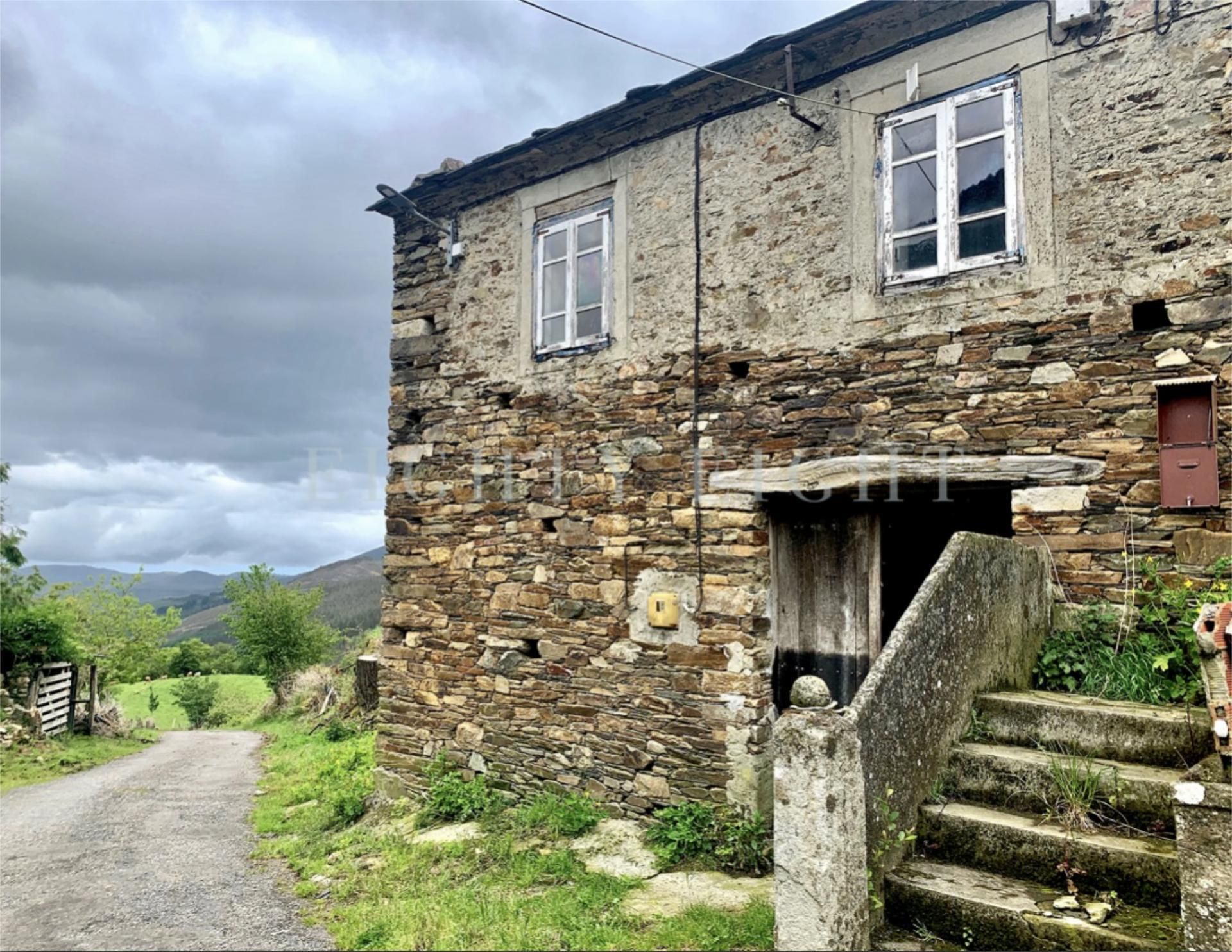 Vista exterior de Finca rústica en venda en Villanueva de Oscos amb Jardí privat
