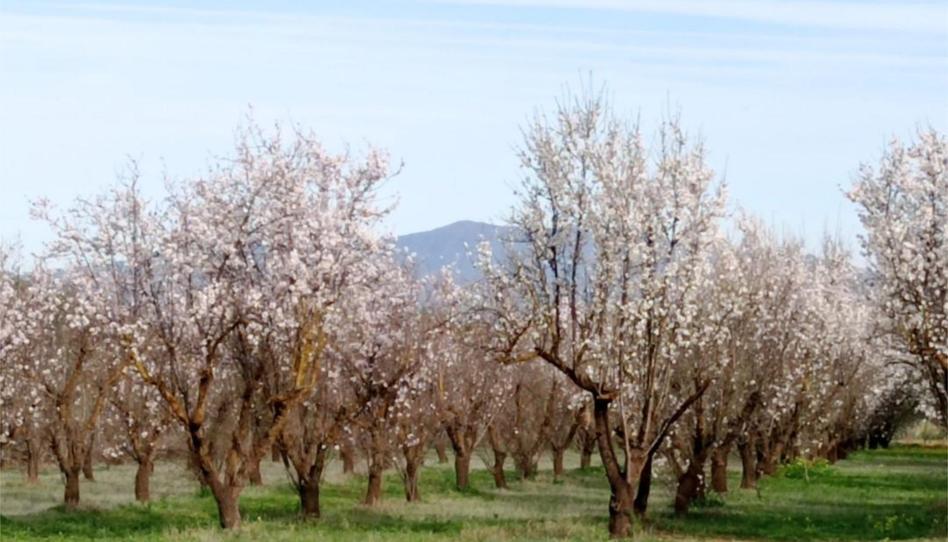 Photo 1 of Non-constructible Land for sale in Partida Cañada Fabrica, 698, Centro, Málaga