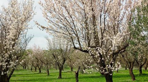 Photo 2 of Non-constructible Land for sale in Partida Cañada Fabrica, 698, Centro, Málaga