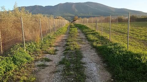 Photo 3 of Non-constructible Land for sale in Partida Cañada Fabrica, 698, Centro, Málaga