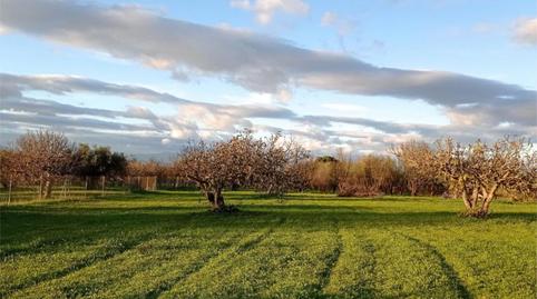 Photo 4 of Non-constructible Land for sale in Partida Cañada Fabrica, 698, Centro, Málaga