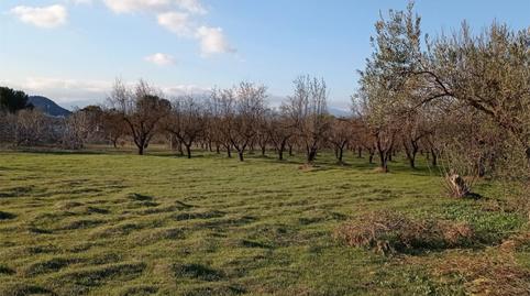 Photo 5 of Non-constructible Land for sale in Partida Cañada Fabrica, 698, Centro, Málaga