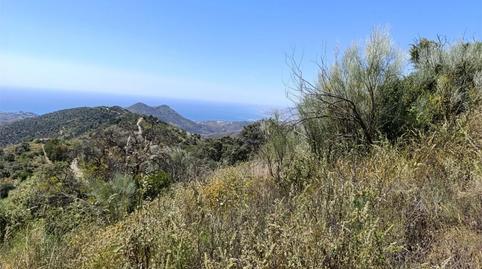 Urbanitzable en venda a Calle de Stradivarius, 14, Pinares de San Antón, Málaga - imatge 5 Foto 5 de Urbanitzable en venda a Calle de Stradivarius, 14, Pinares de San Antón, Málaga