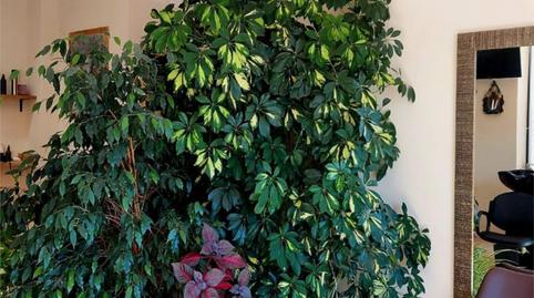 Premises to rent in Calle Violeta, 15, Rinconada, Madrid - image 3 Photo 3 of Premises to rent in Calle Violeta, 15, Rinconada, Madrid