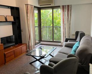 Living room of Flat to rent in  Valencia Capital