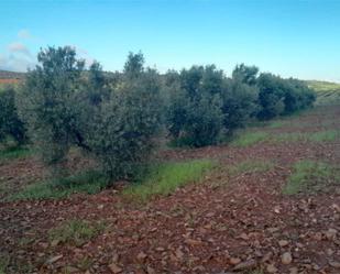 Non-constructible Land for sale in Valdepeñas