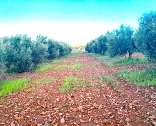 Non-constructible Land for sale in Valdepeñas