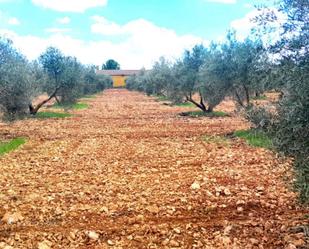 Non-constructible Land for sale in Valdepeñas